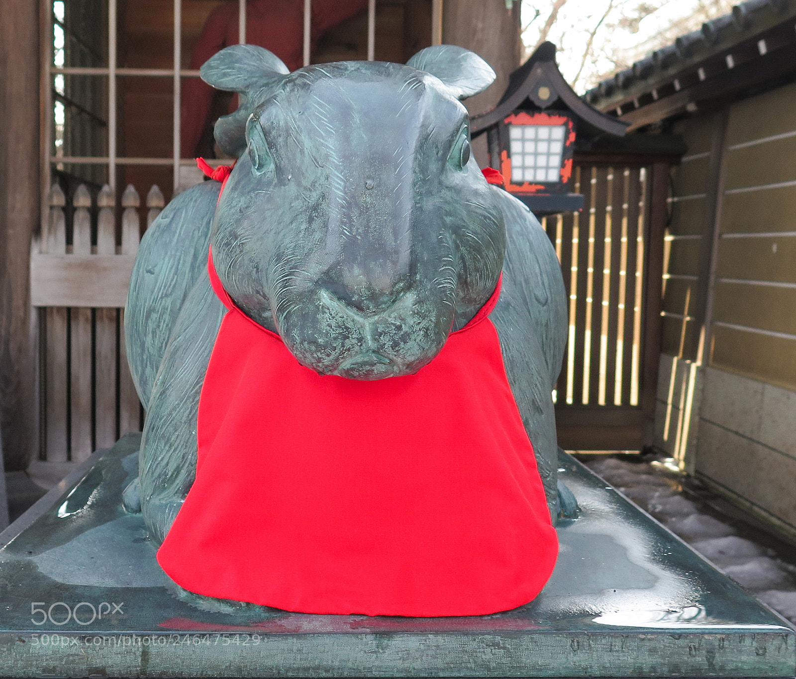 Canon PowerShot G16 sample photo. Rabbit guardian photography