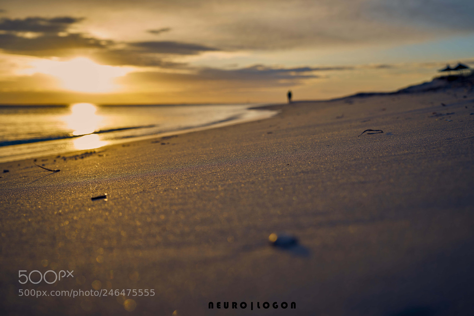 Sony a7R II sample photo. Sunrise walk photography