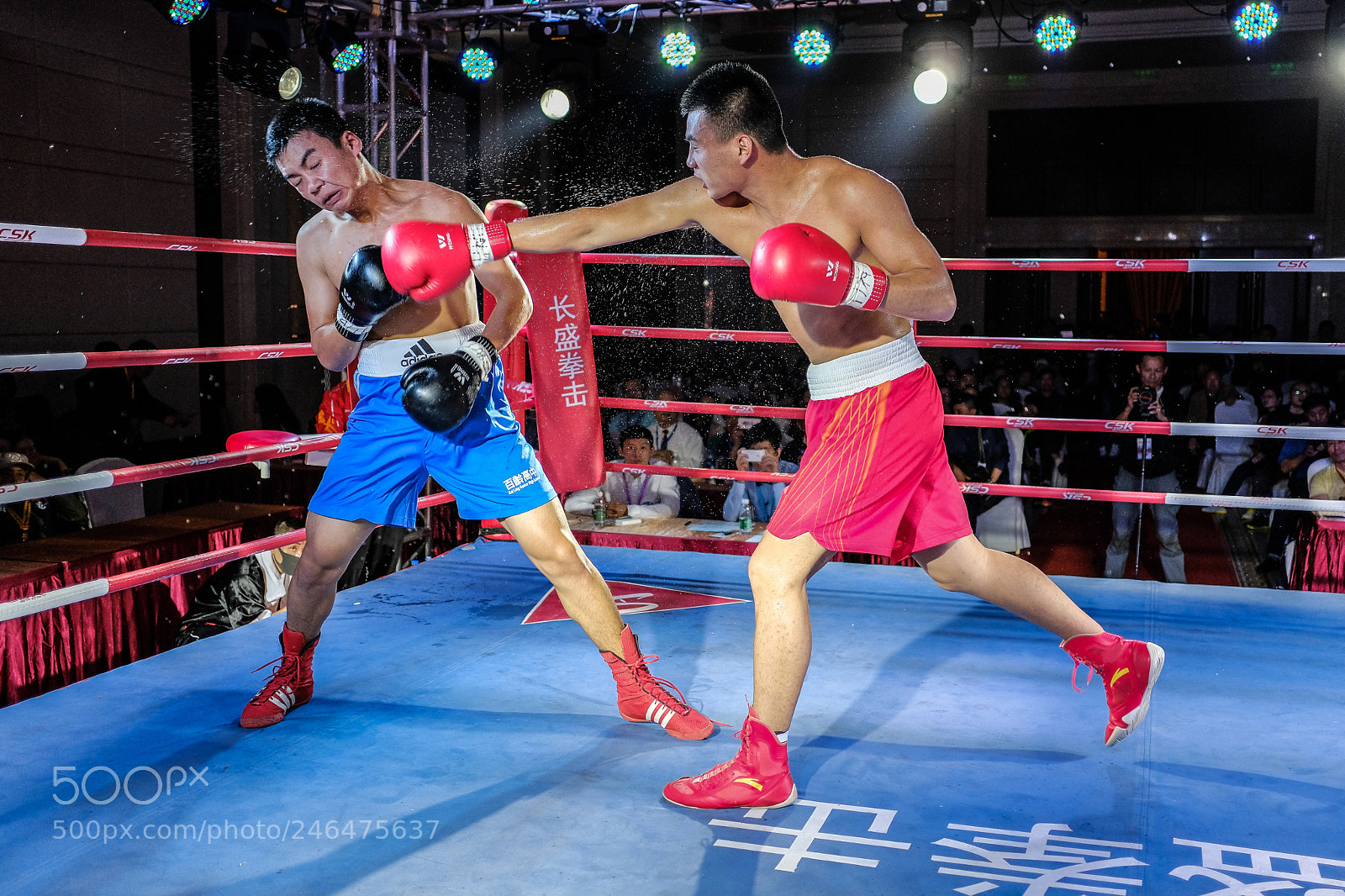 Fujifilm X-Pro2 sample photo. Critical hit photography
