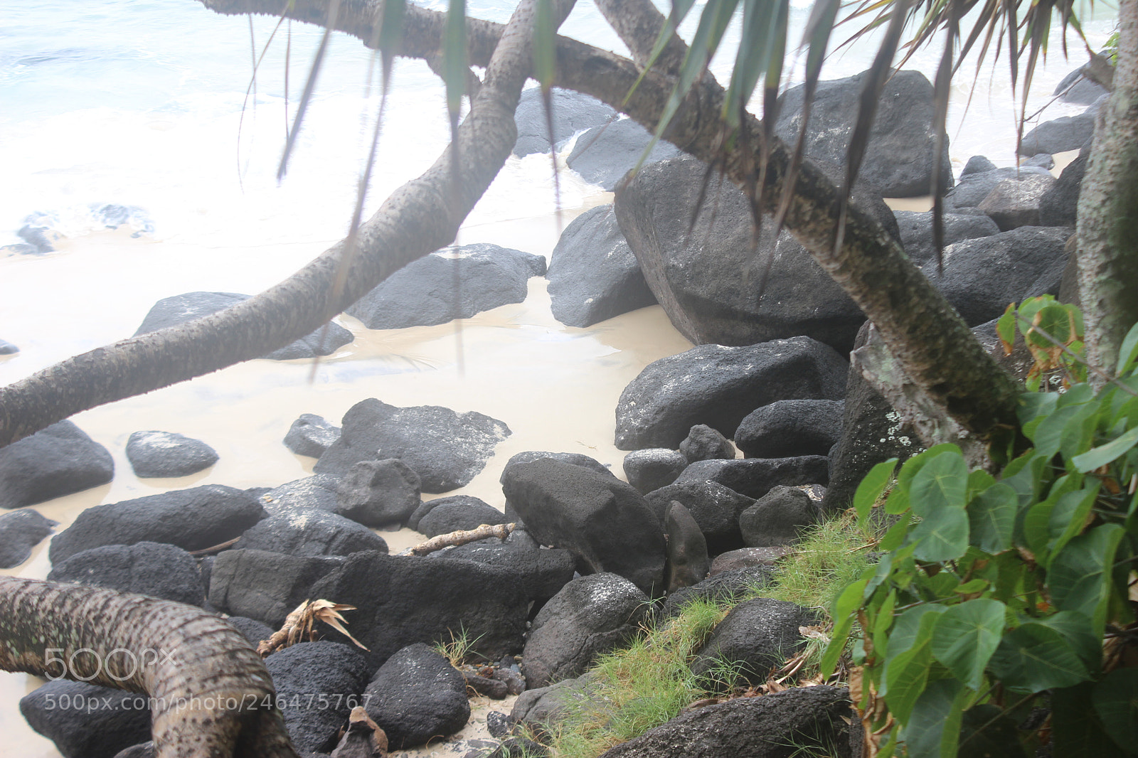 Canon EOS 600D (Rebel EOS T3i / EOS Kiss X5) sample photo. Australian coastline photography