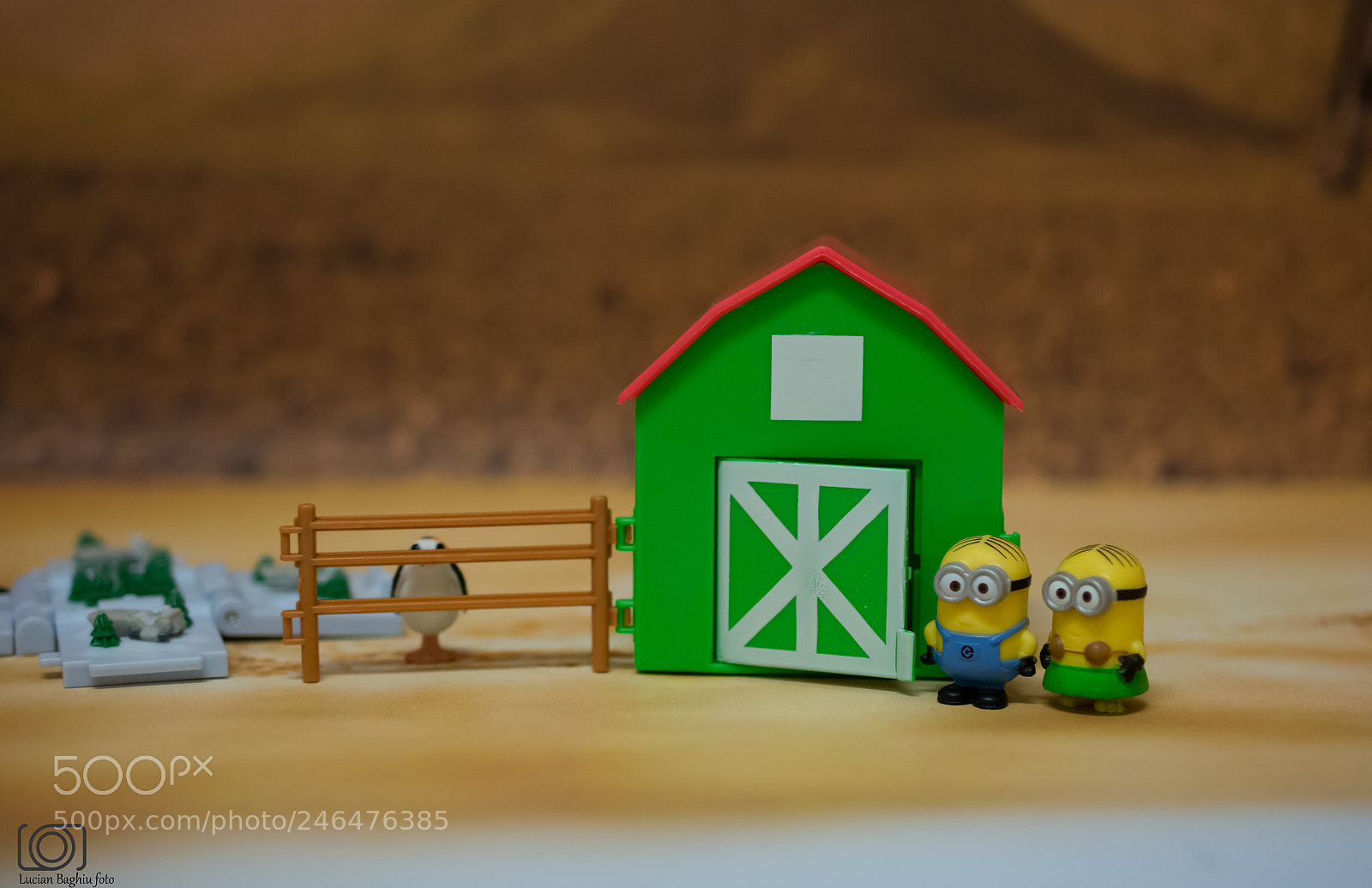 Nikon D5200 sample photo. Minion photography