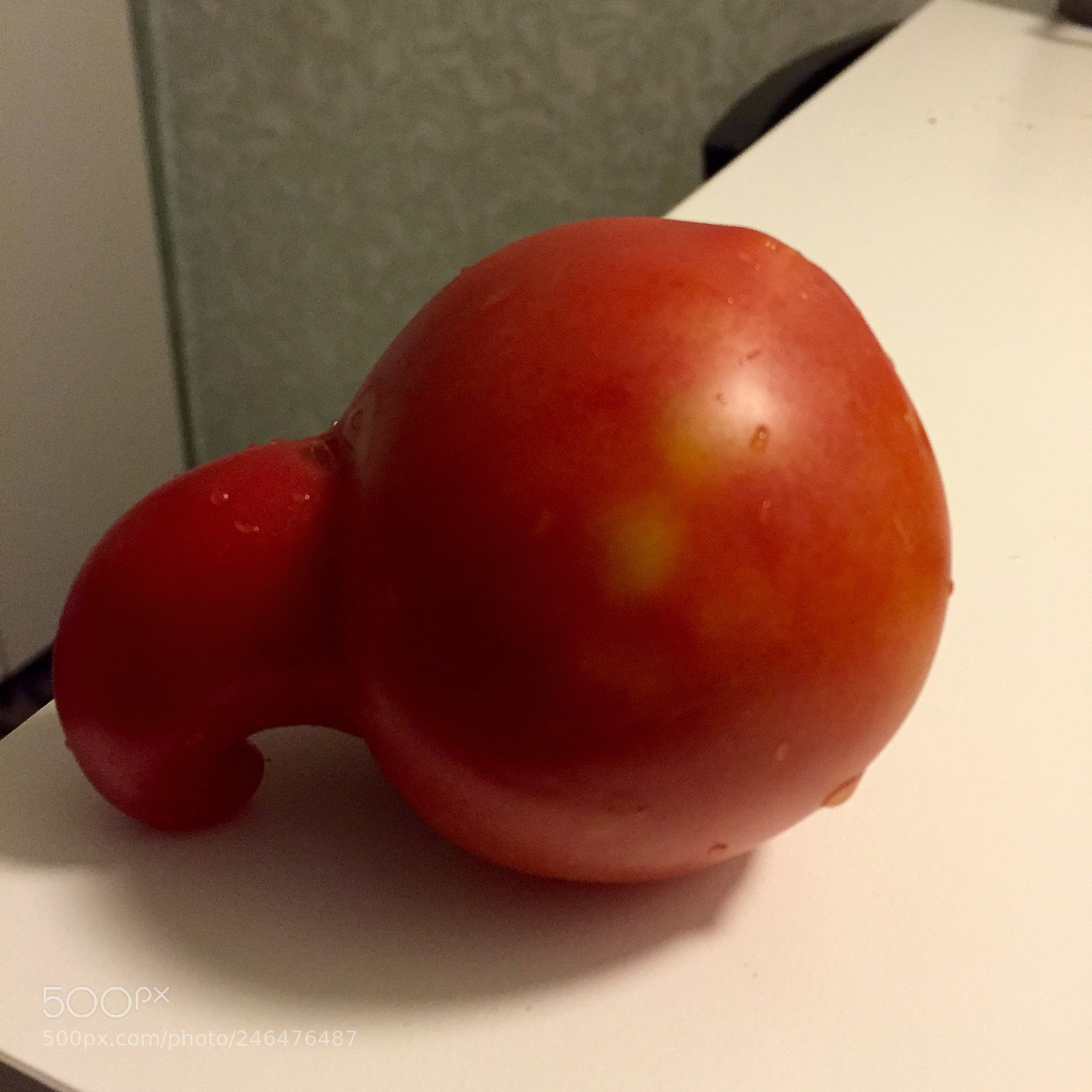 Apple iPhone 6 sample photo. Untitled photography