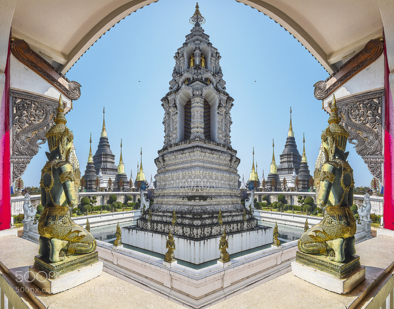 Nikon D850 sample photo. Les couleurs du siam photography