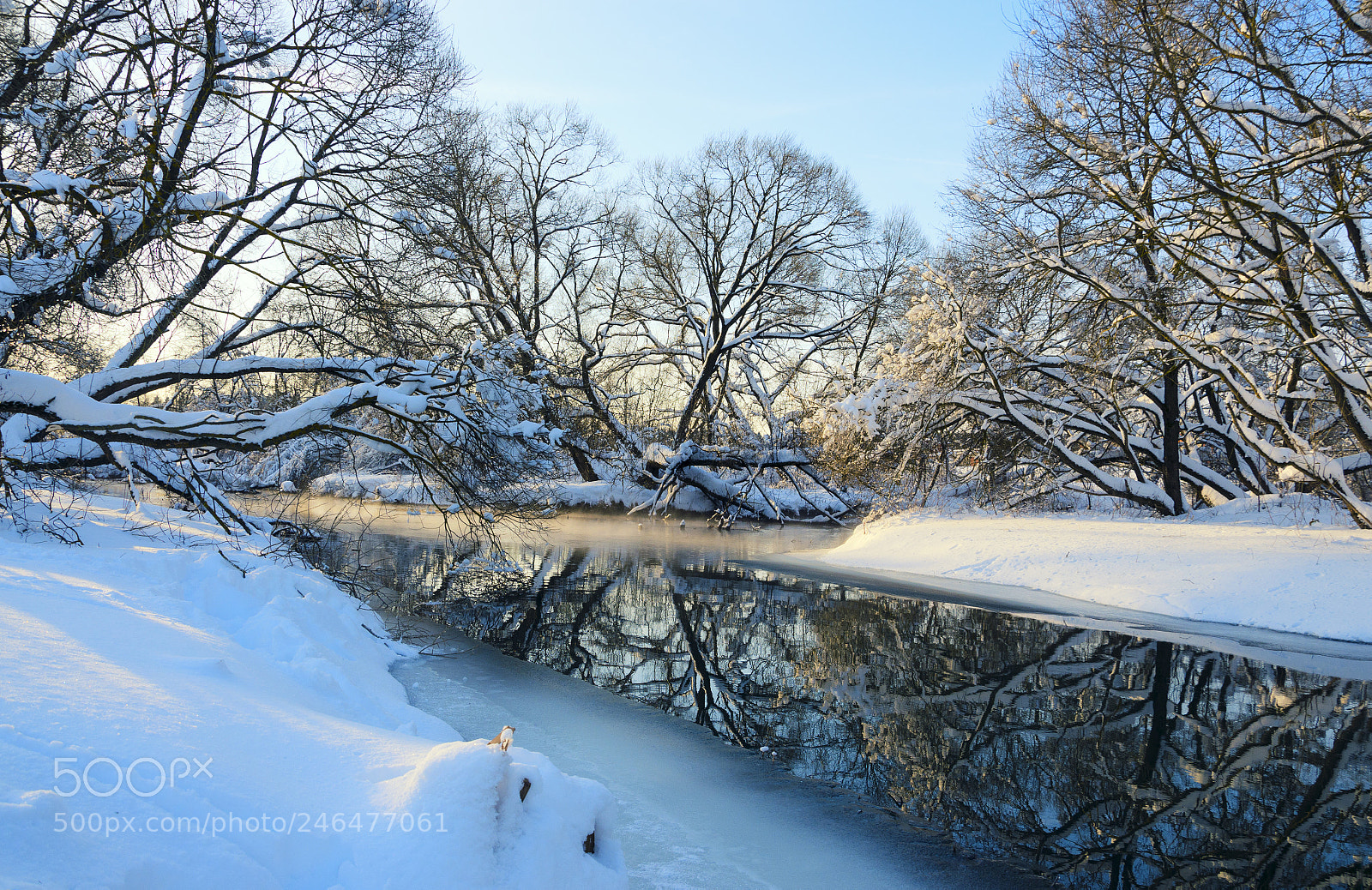 Nikon D5100 sample photo. Winter fairy tale photography