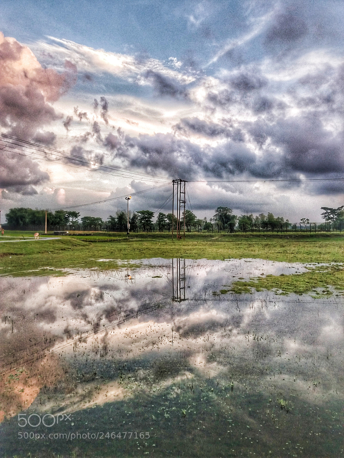 Samsung Galaxy J5 sample photo. Royal reflection photography