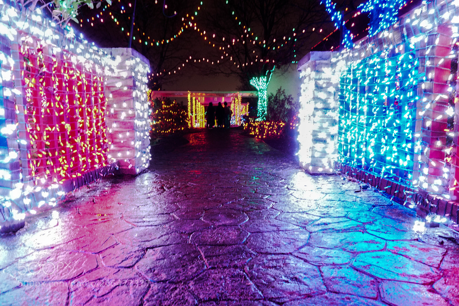 Sony a6300 sample photo. Christmas bridge photography