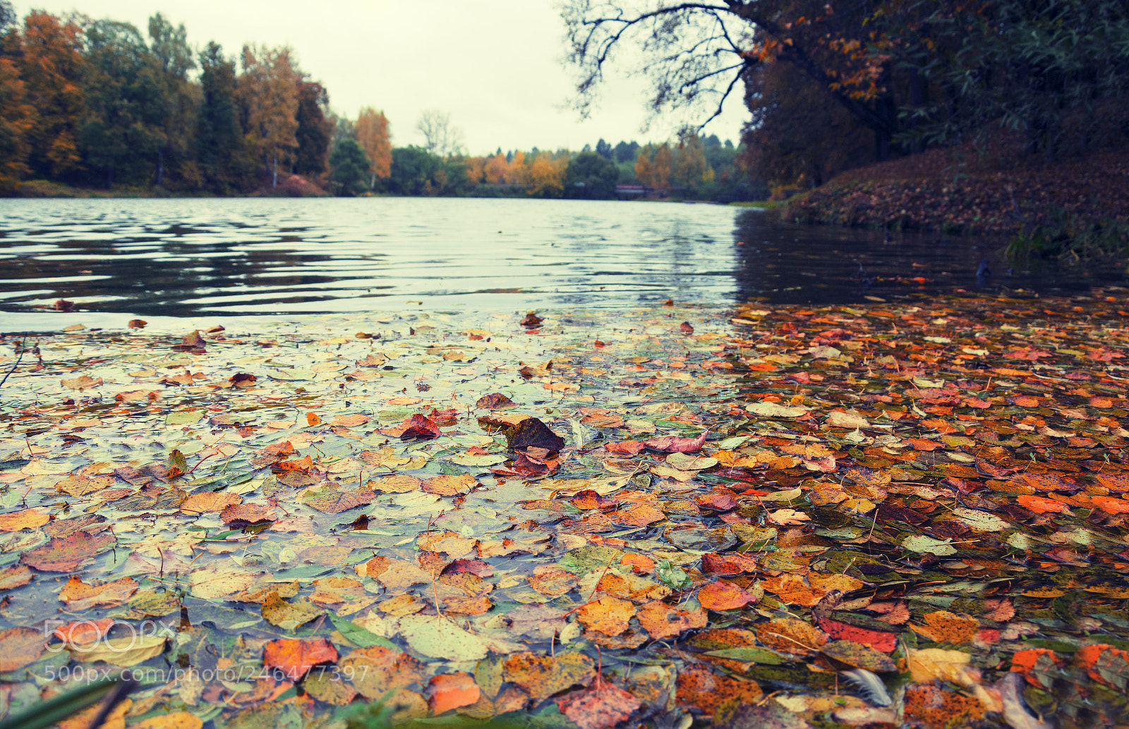 Nikon D5100 sample photo. Autumn scenery photography
