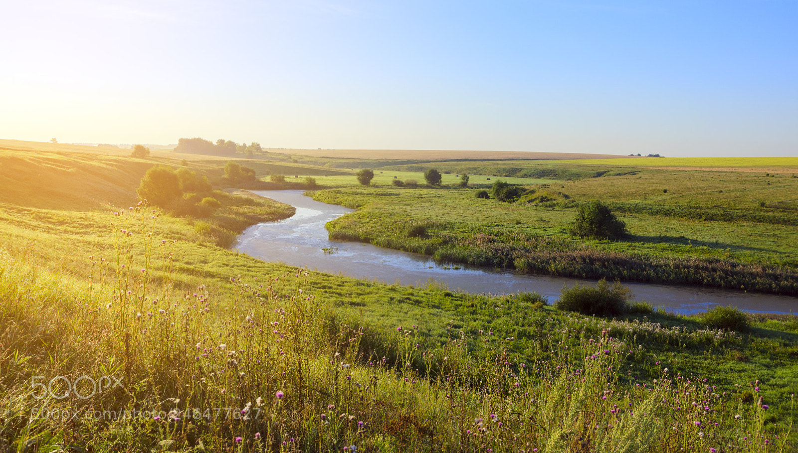 Nikon D5100 sample photo. Sunny landscape photography