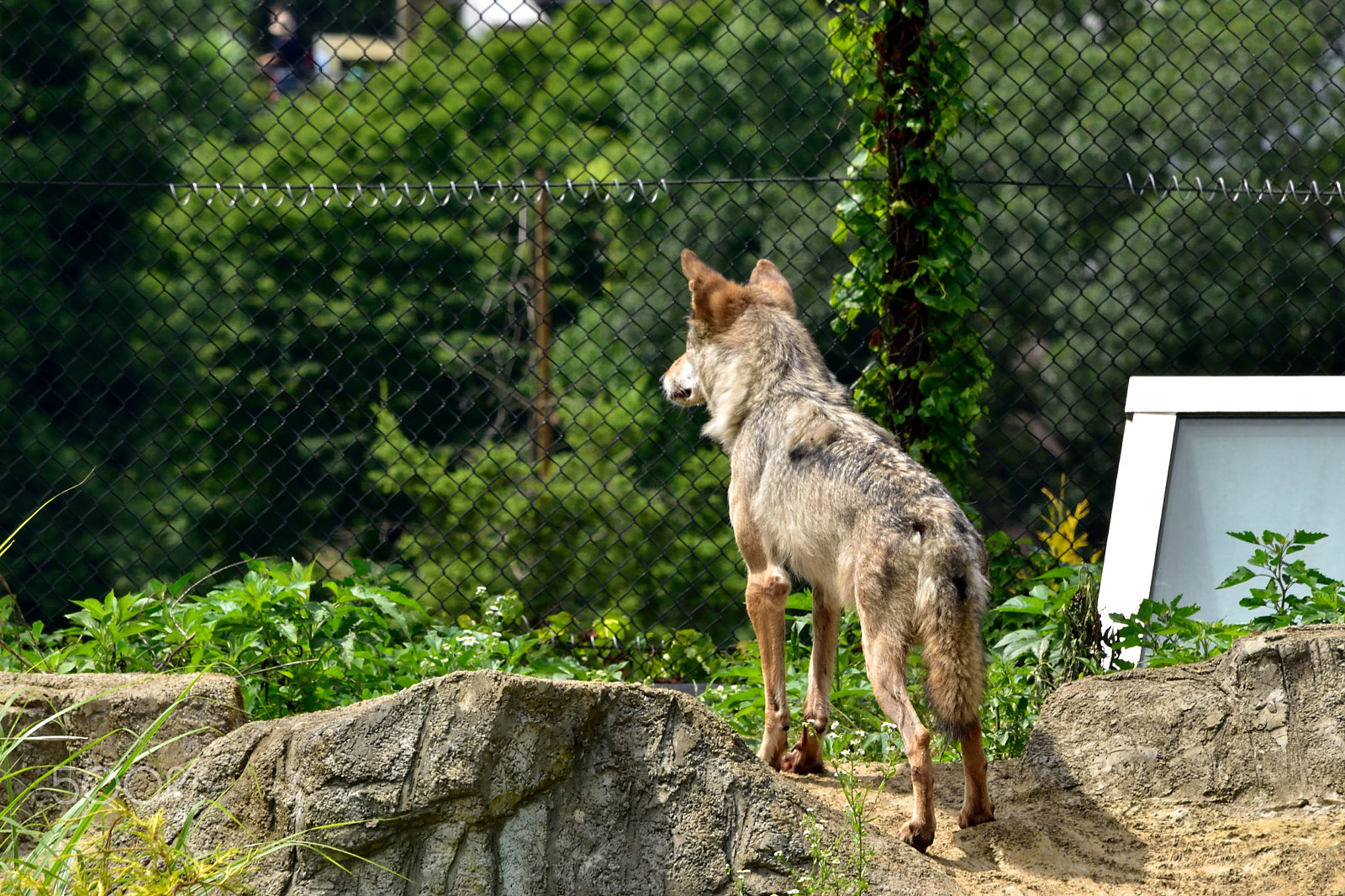Nikon D5500 sample photo. Command a view photography