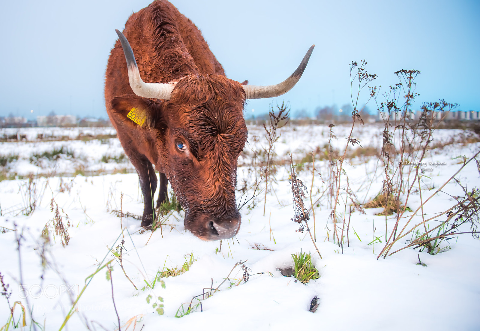 Nikon D800 sample photo. Snow s'no problem for photography