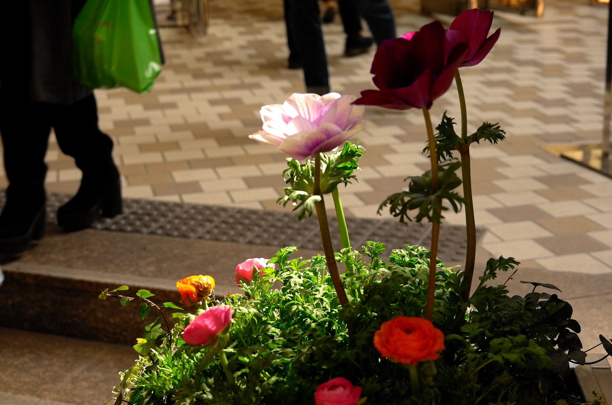 Leica X Vario sample photo