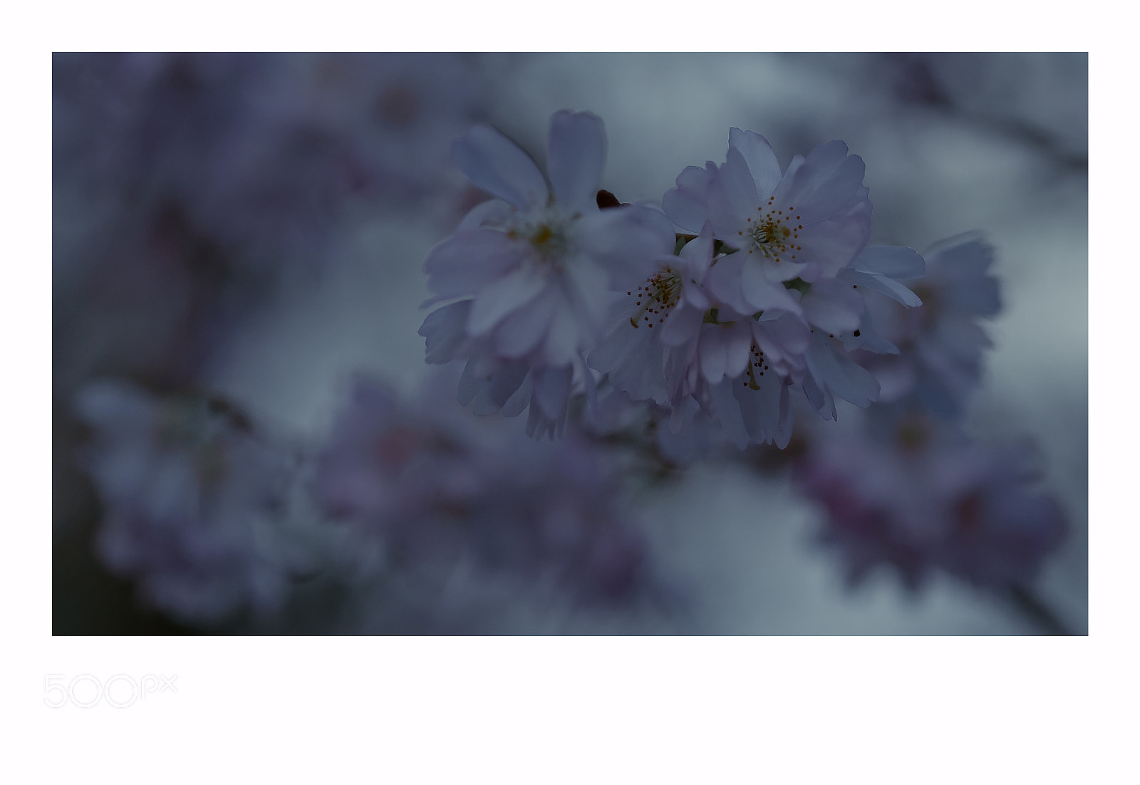 Fujifilm X-T1 sample photo. London photography