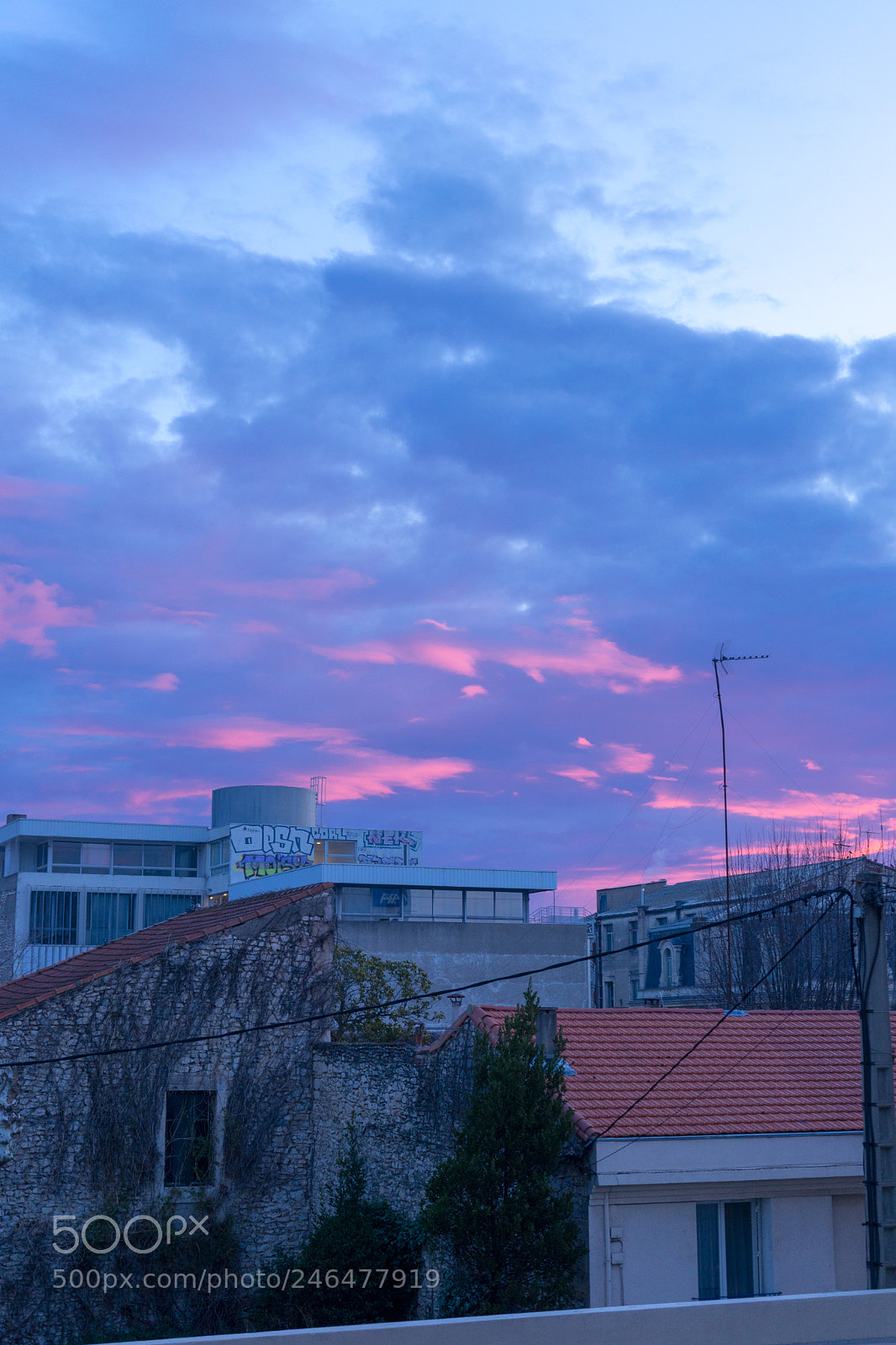 Sony a7 sample photo. 16022018-_dsc0984 - 006.jpg photography