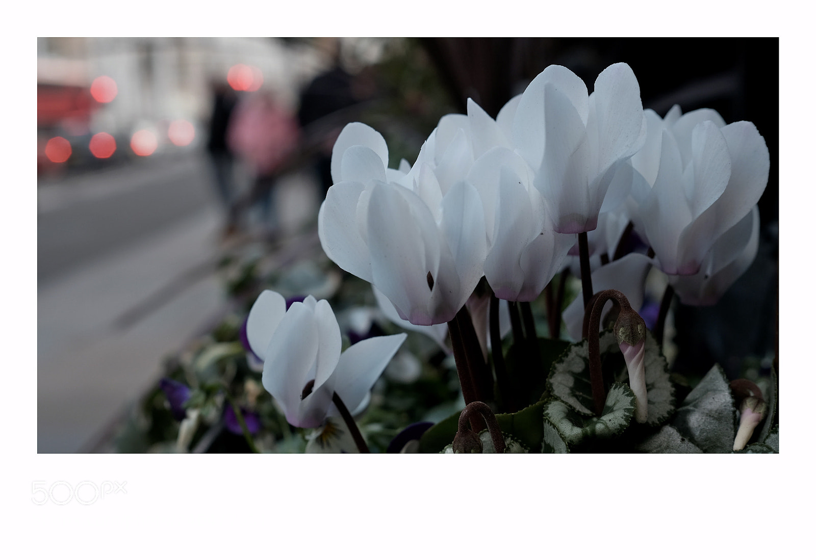 Fujifilm X-T1 sample photo. London photography