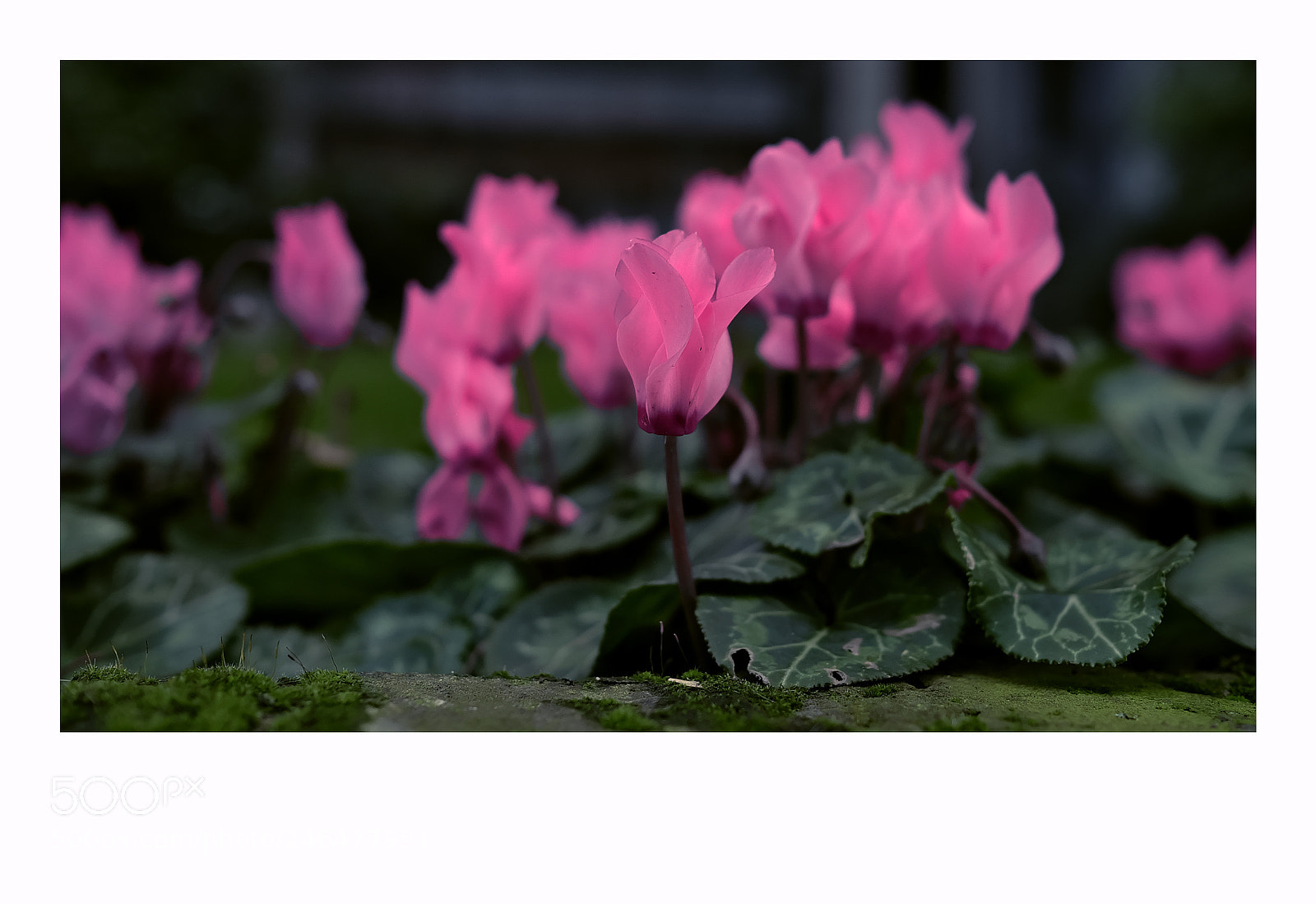 Fujifilm X-T1 sample photo. London photography