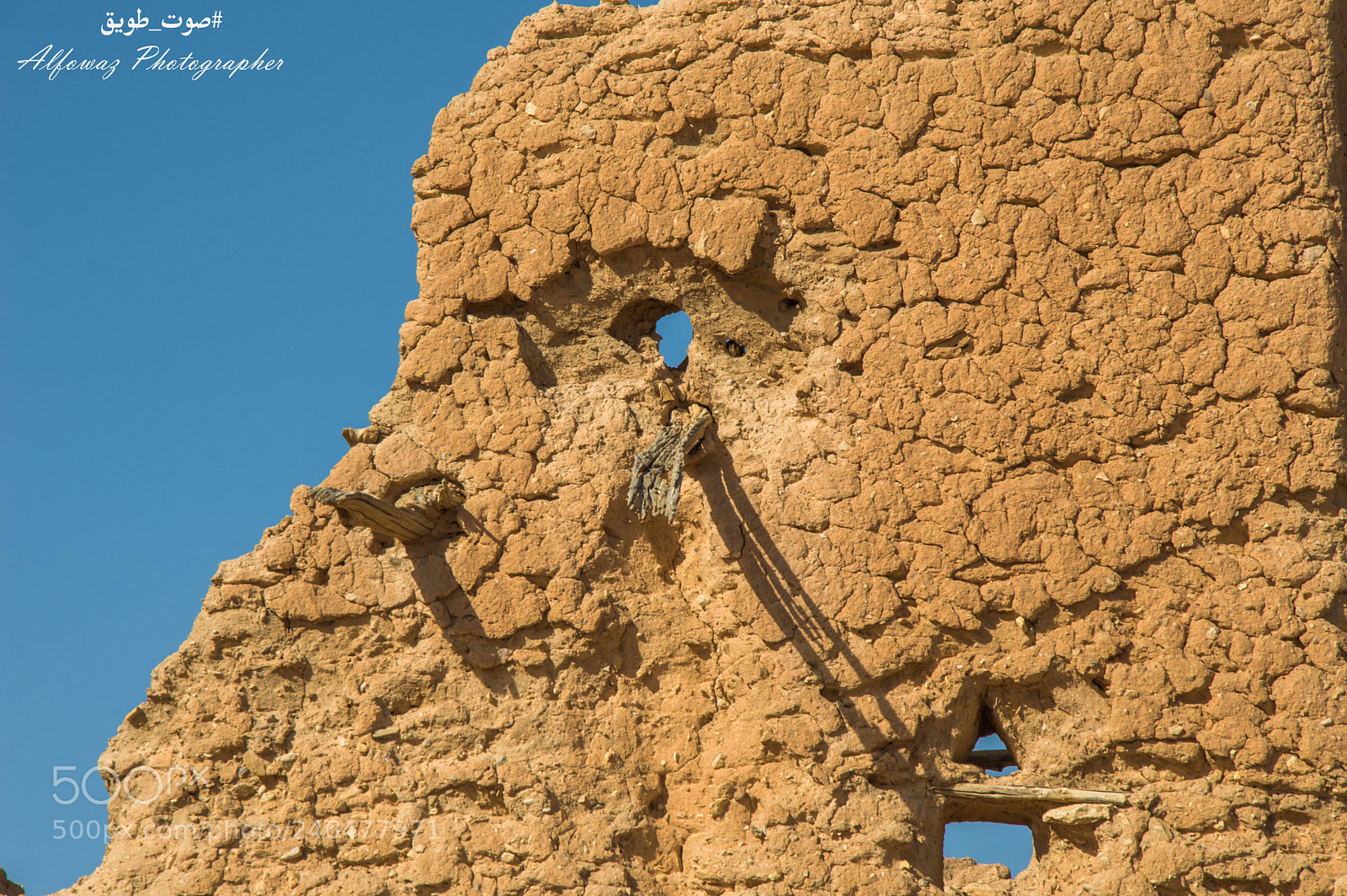 Nikon D3200 sample photo. Untitled photography