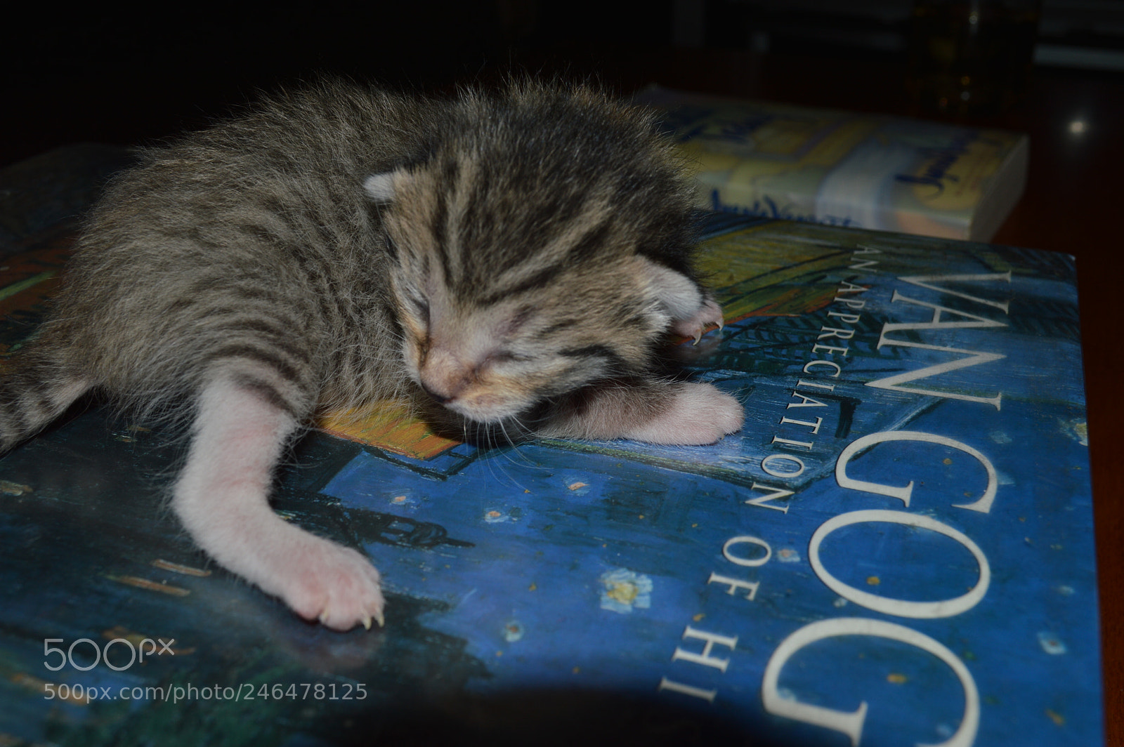 Nikon D3200 sample photo. New babies photography