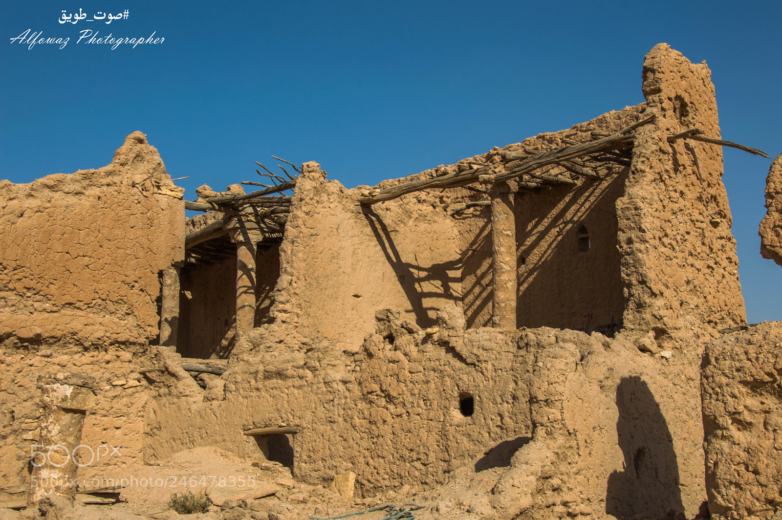 Nikon D3200 sample photo. Untitled photography