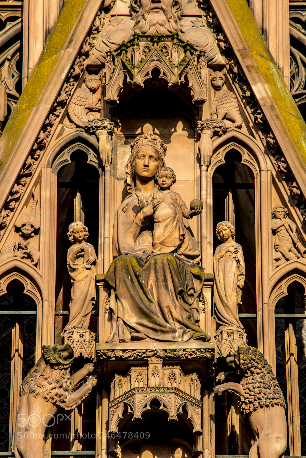 Nikon D500 sample photo. Strasbourg details - notre-dame photography