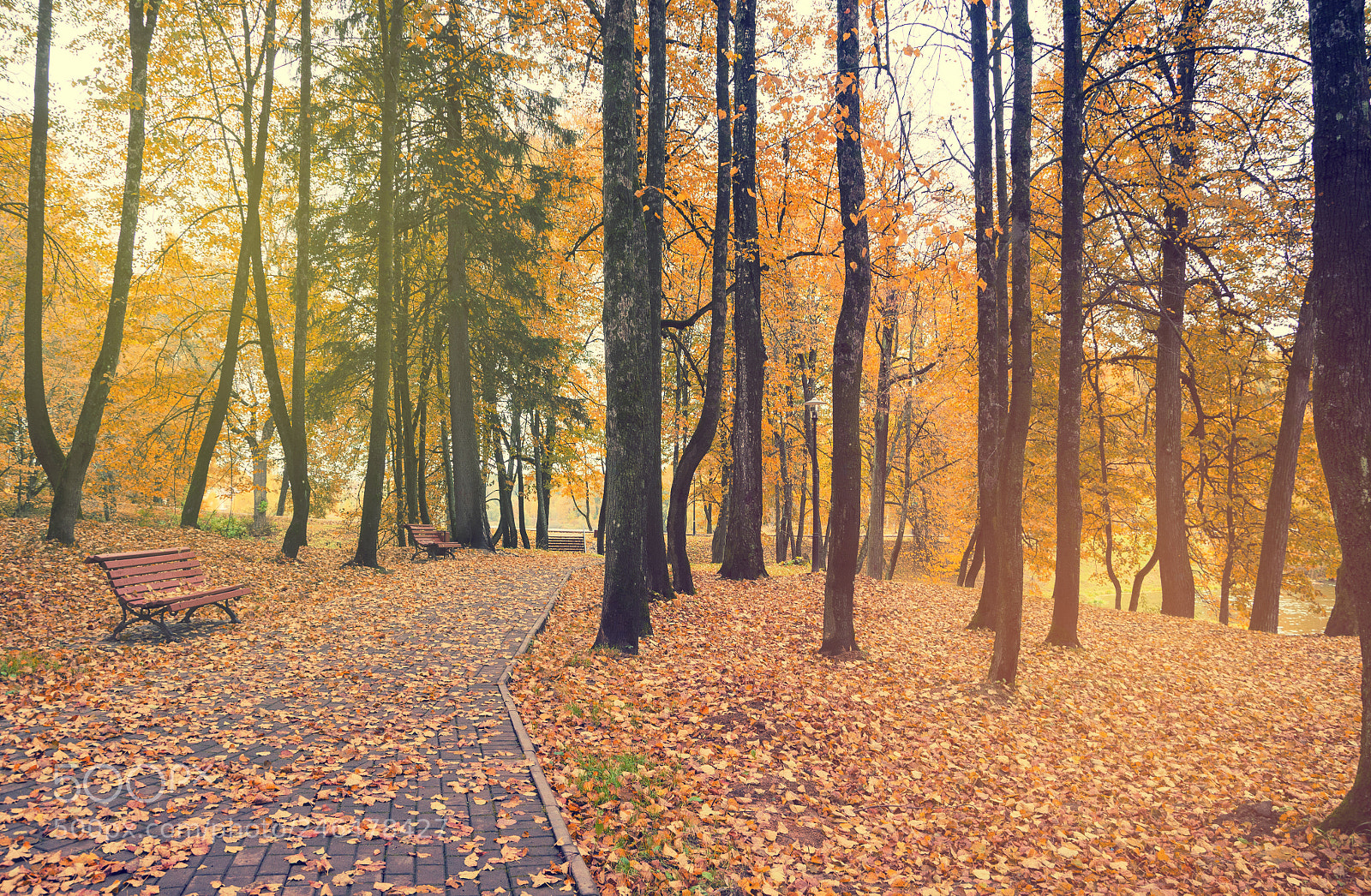 Nikon D5100 sample photo. Autumn time photography