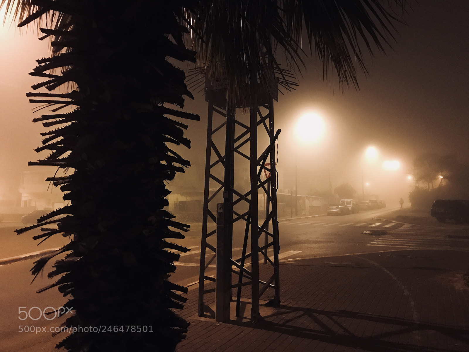 Apple iPhone 7 sample photo. The fog photography