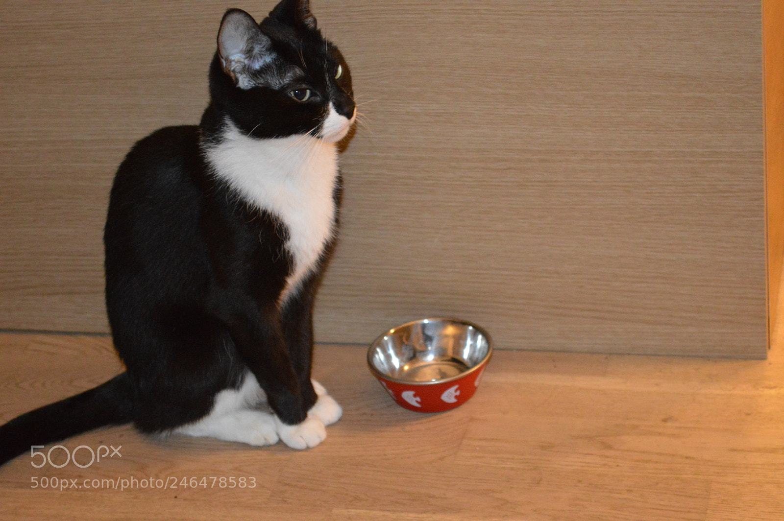 Nikon D3200 sample photo. Pandora photography