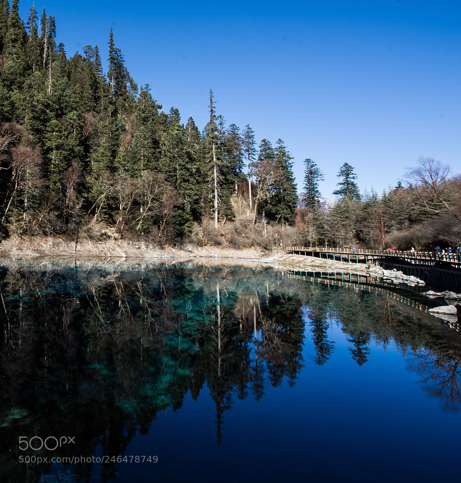 Nikon D3S sample photo. Reflections photography