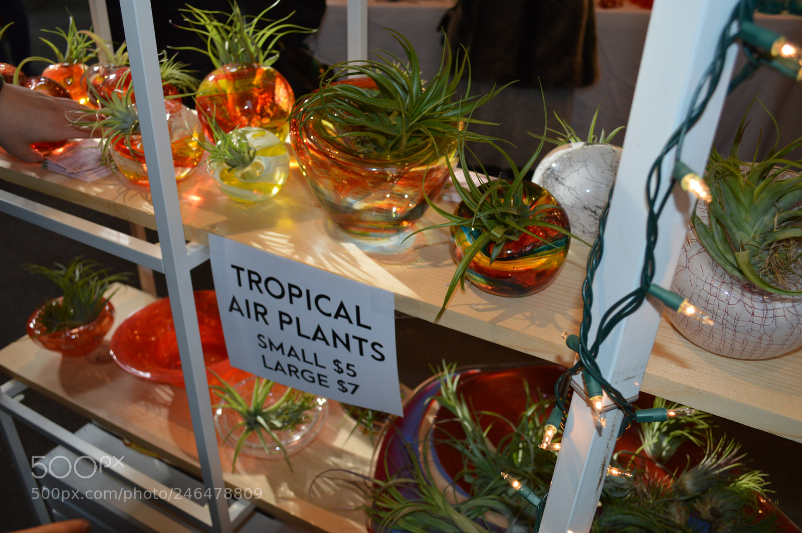 Nikon D3200 sample photo. Sowa winter festival photography