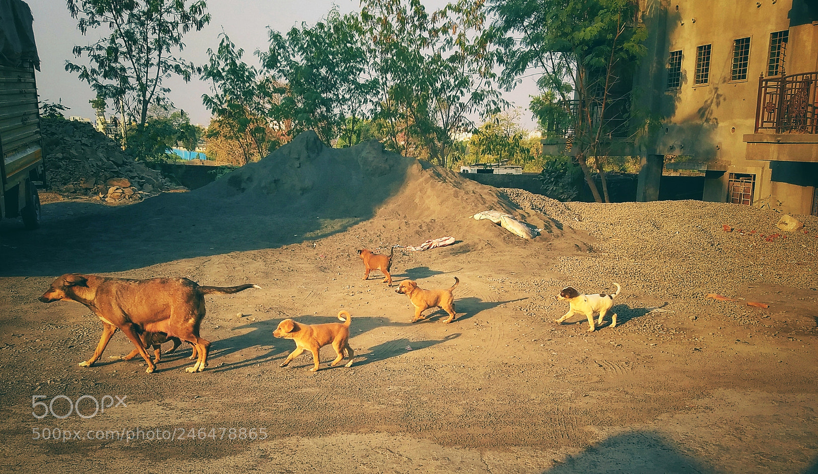 Motorola Moto G (5) Plus sample photo. Evening walk with the photography