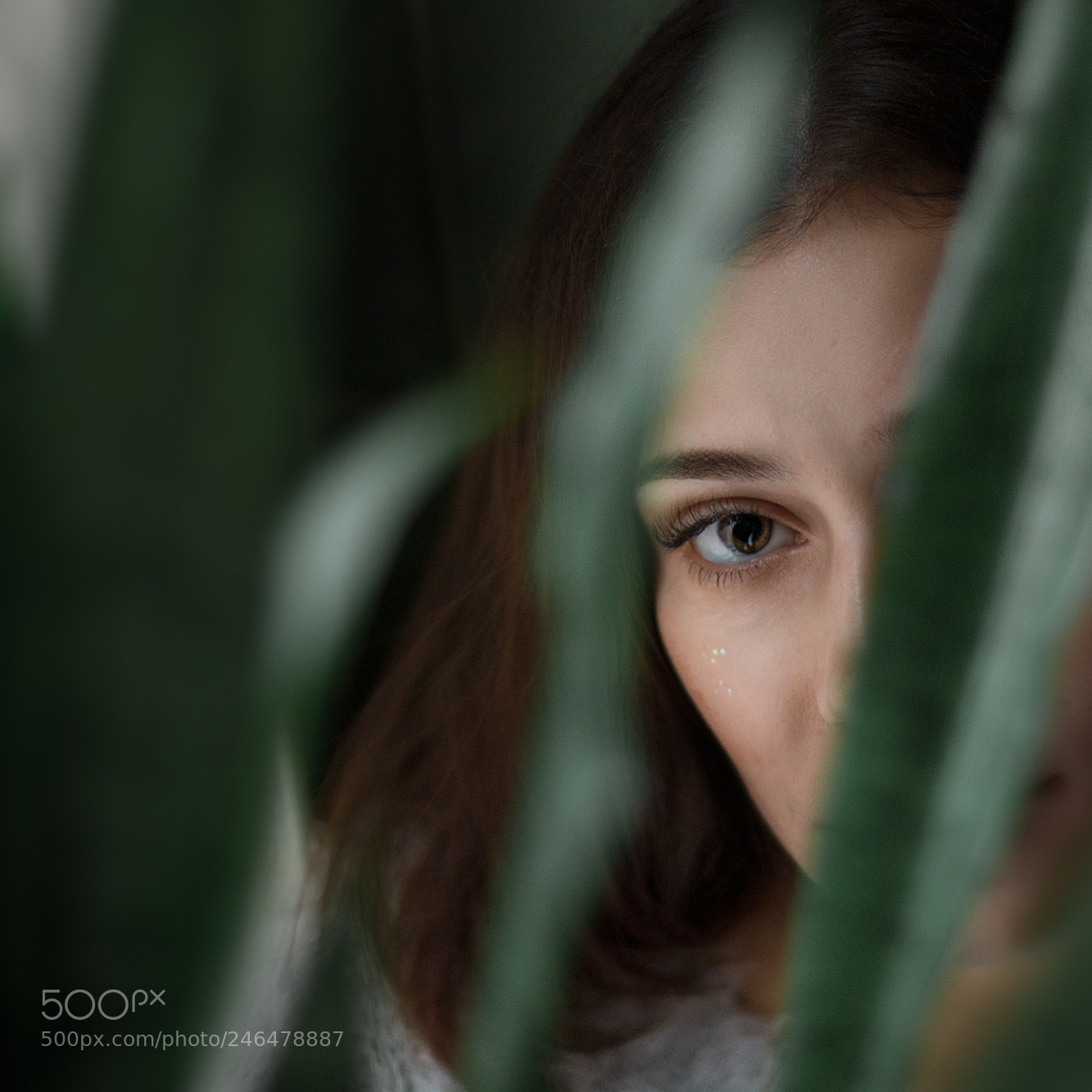 Nikon D7100 sample photo. Карина photography