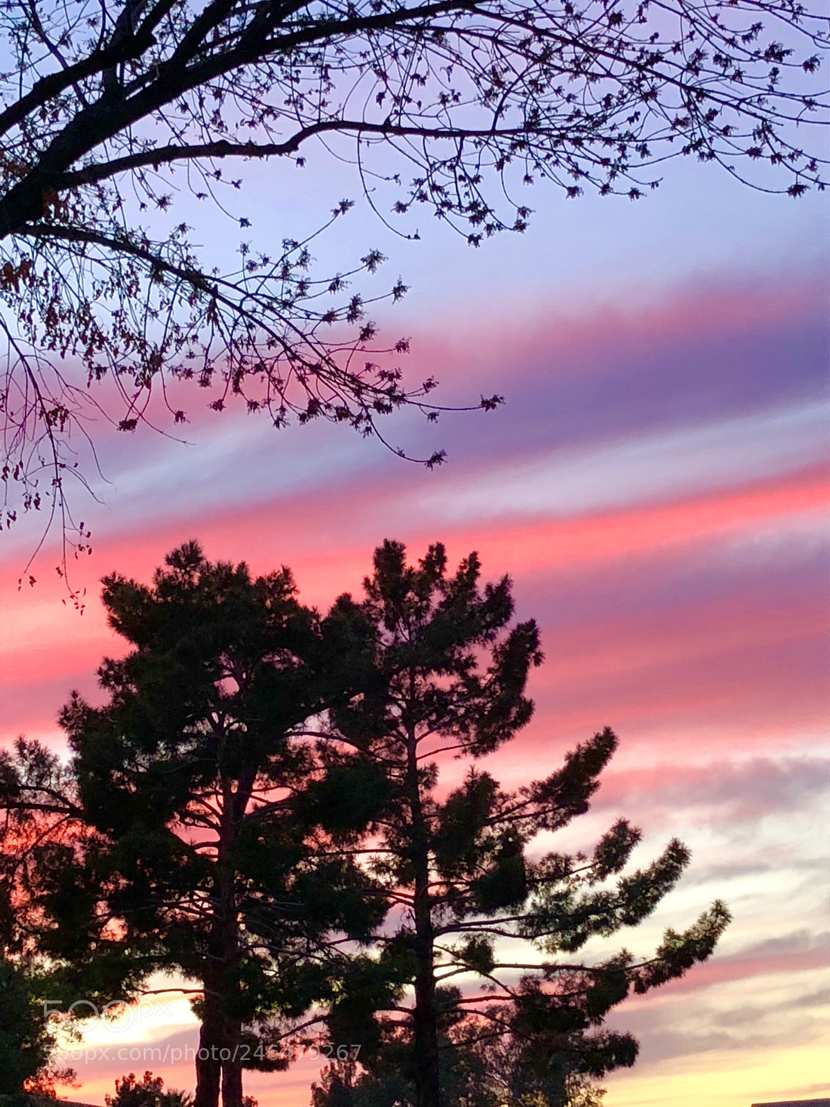 Apple iPhone 8 sample photo. Snap shot!  sunset, az photography