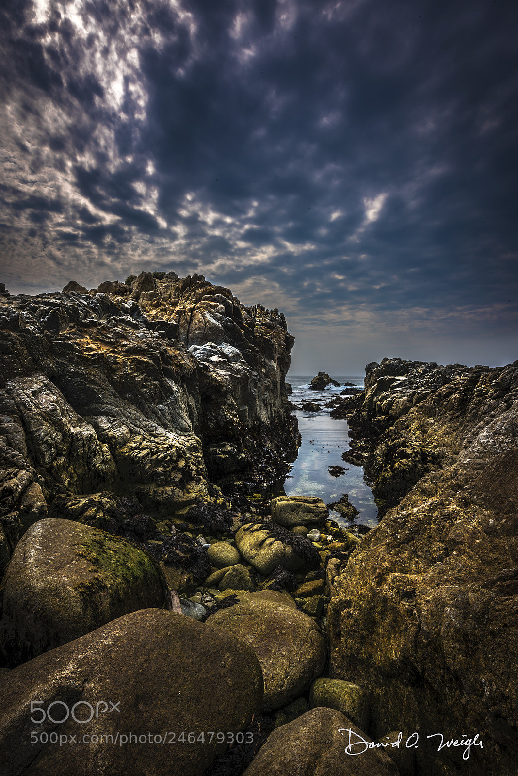 Nikon D810 sample photo. Pebble beach coastal photography