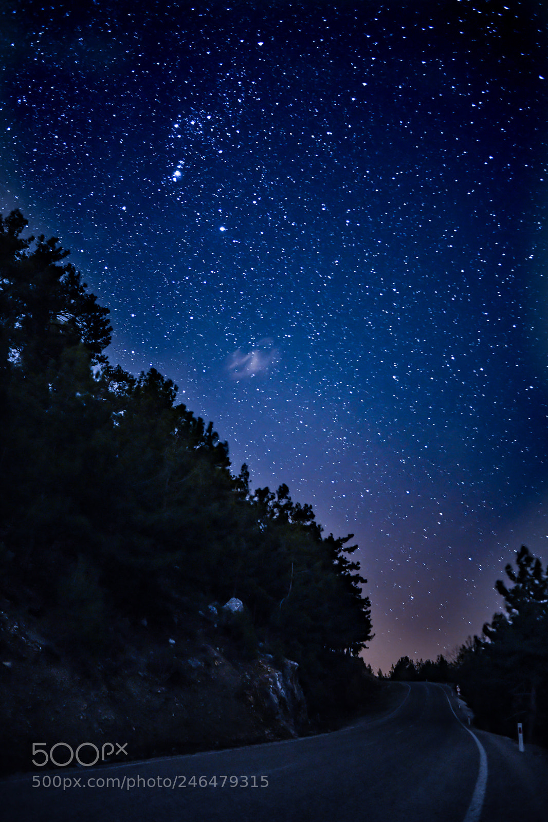 Nikon D850 sample photo. Starriest night ever photography