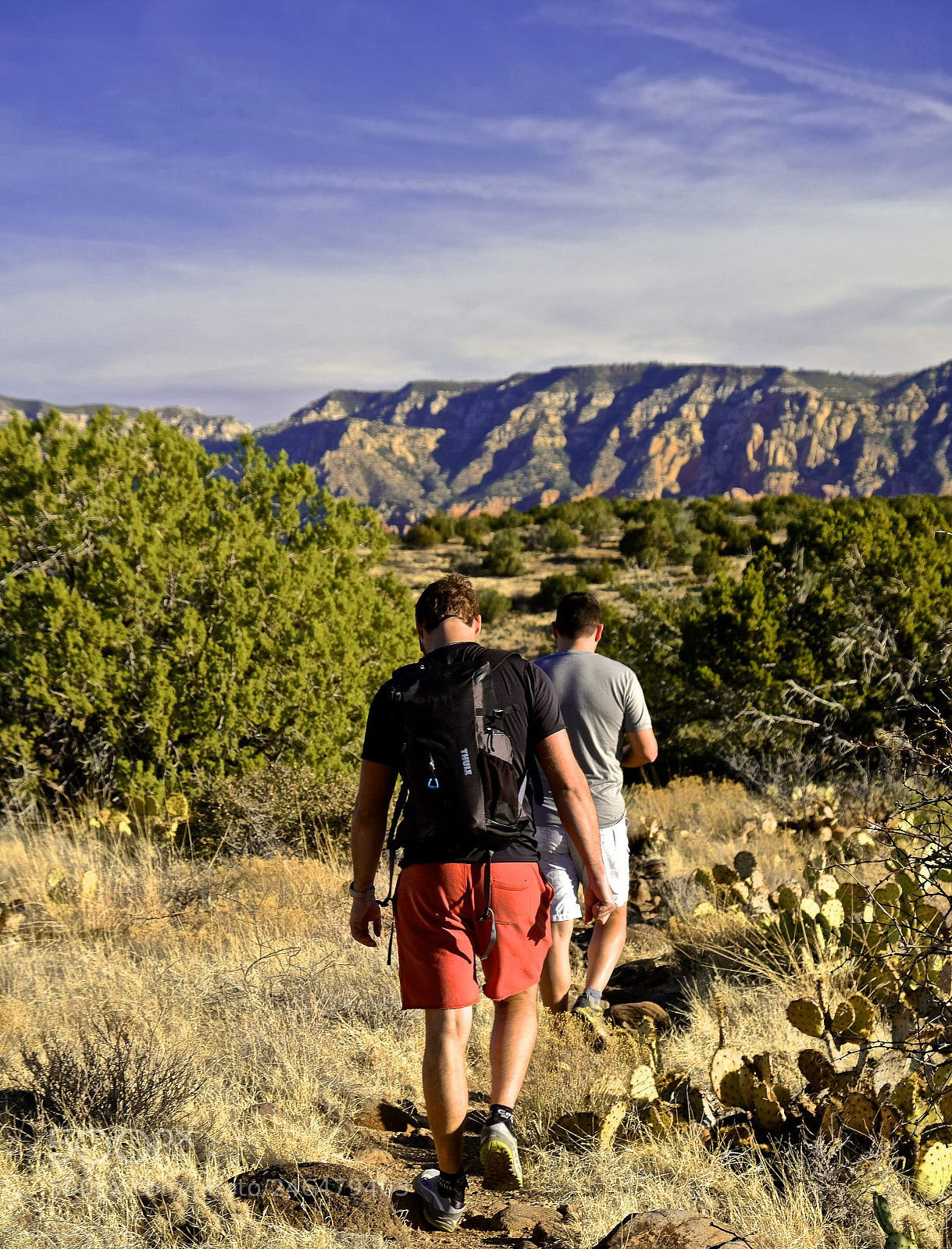 Fujifilm X-T2 sample photo. Sedona photography