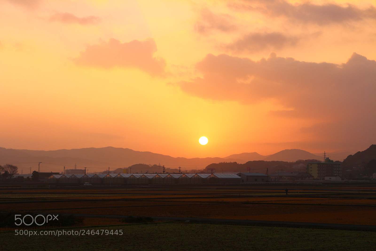 Canon EOS M sample photo. Img photography