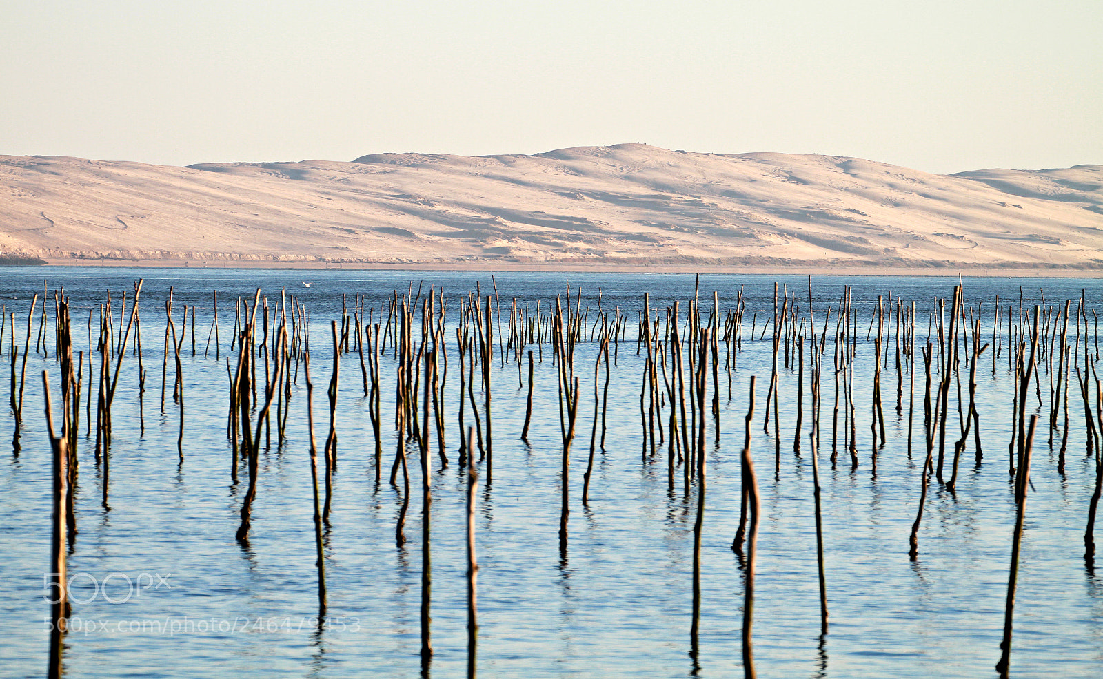 Canon EOS 7D sample photo. The highest dune and photography