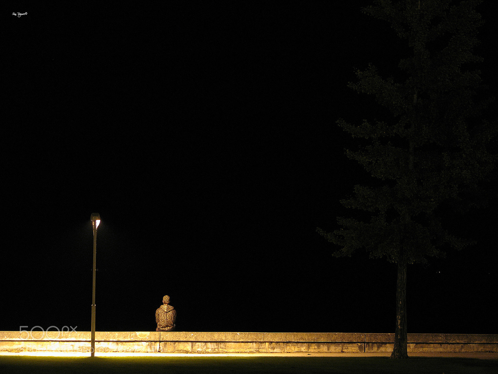 Canon POWERSHOT S5 IS sample photo. Bono photography