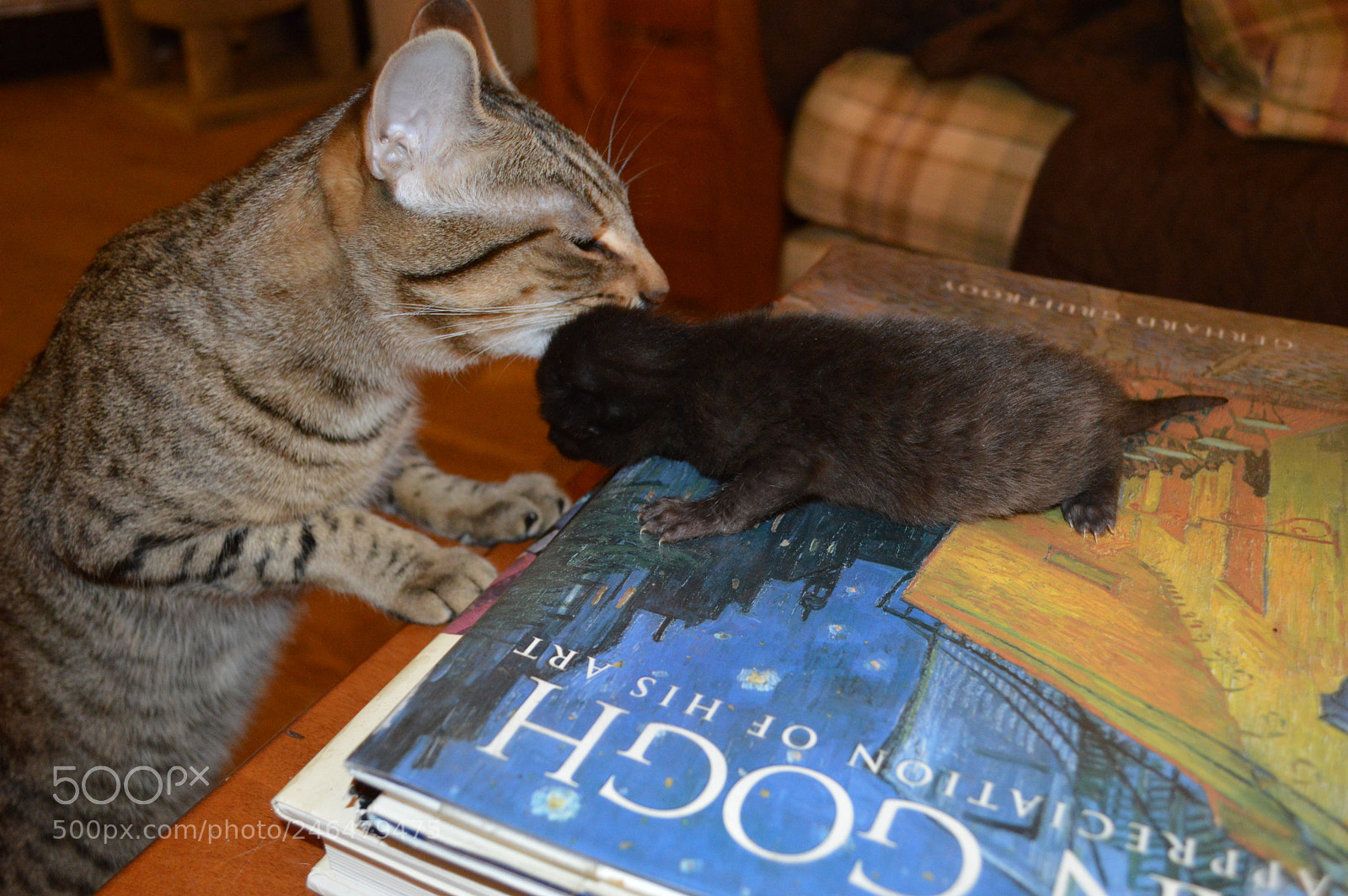 Nikon D3200 sample photo. Caesar & child photography