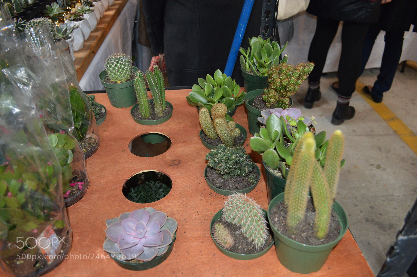 Nikon D3200 sample photo. Sowa winter festival photography