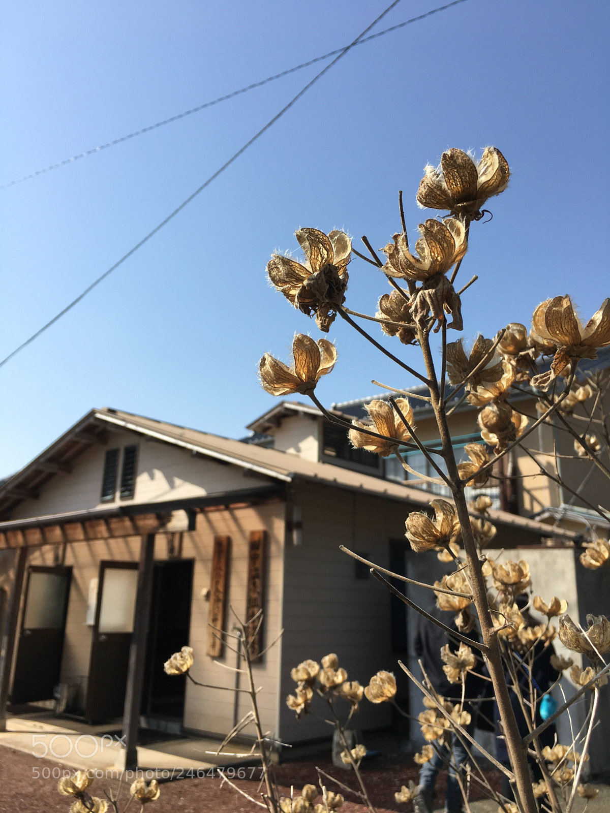 Apple iPhone 6s sample photo. Countryside in japan photography