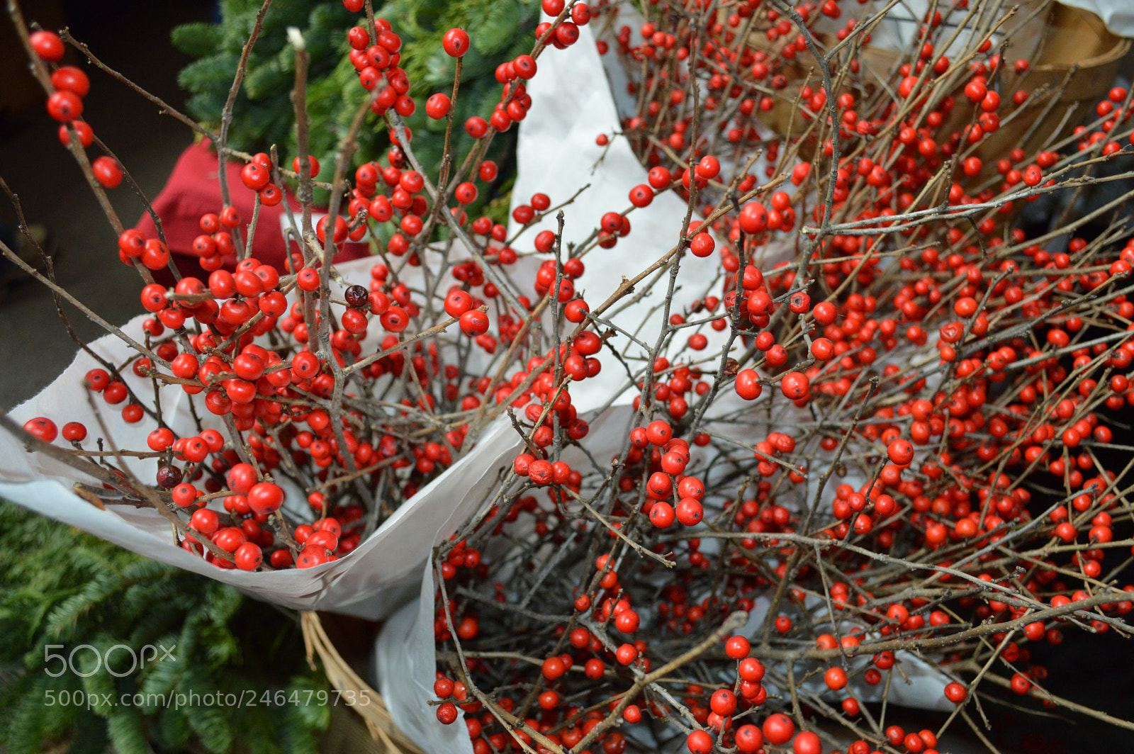 Nikon D3200 sample photo. Sowa winter festival photography