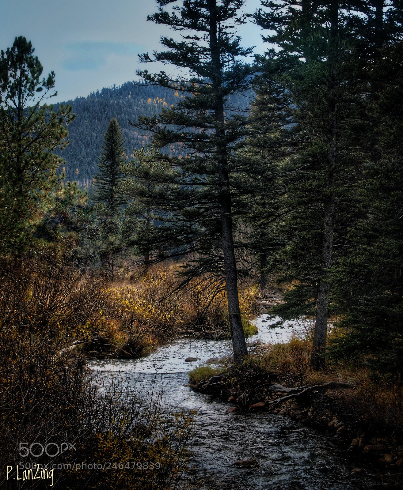 Olympus E-3 sample photo. Along the pecos river photography