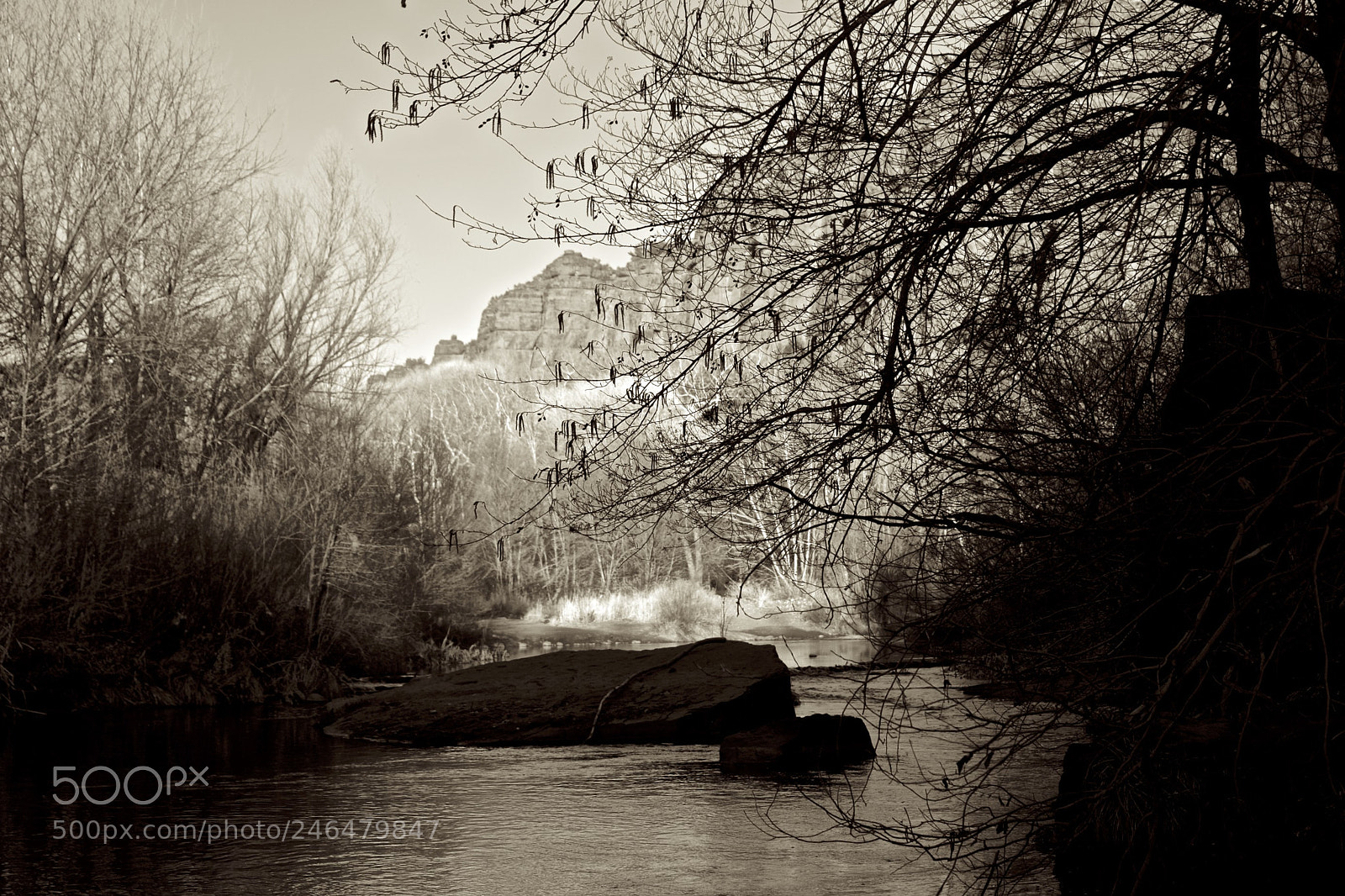 Fujifilm X-T2 sample photo. Arizona photography