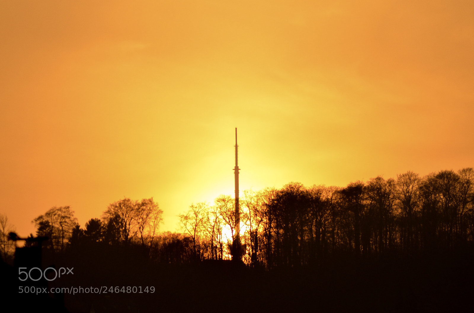 Nikon D5100 sample photo. Sonnenuntergang am teuteburgerwald photography