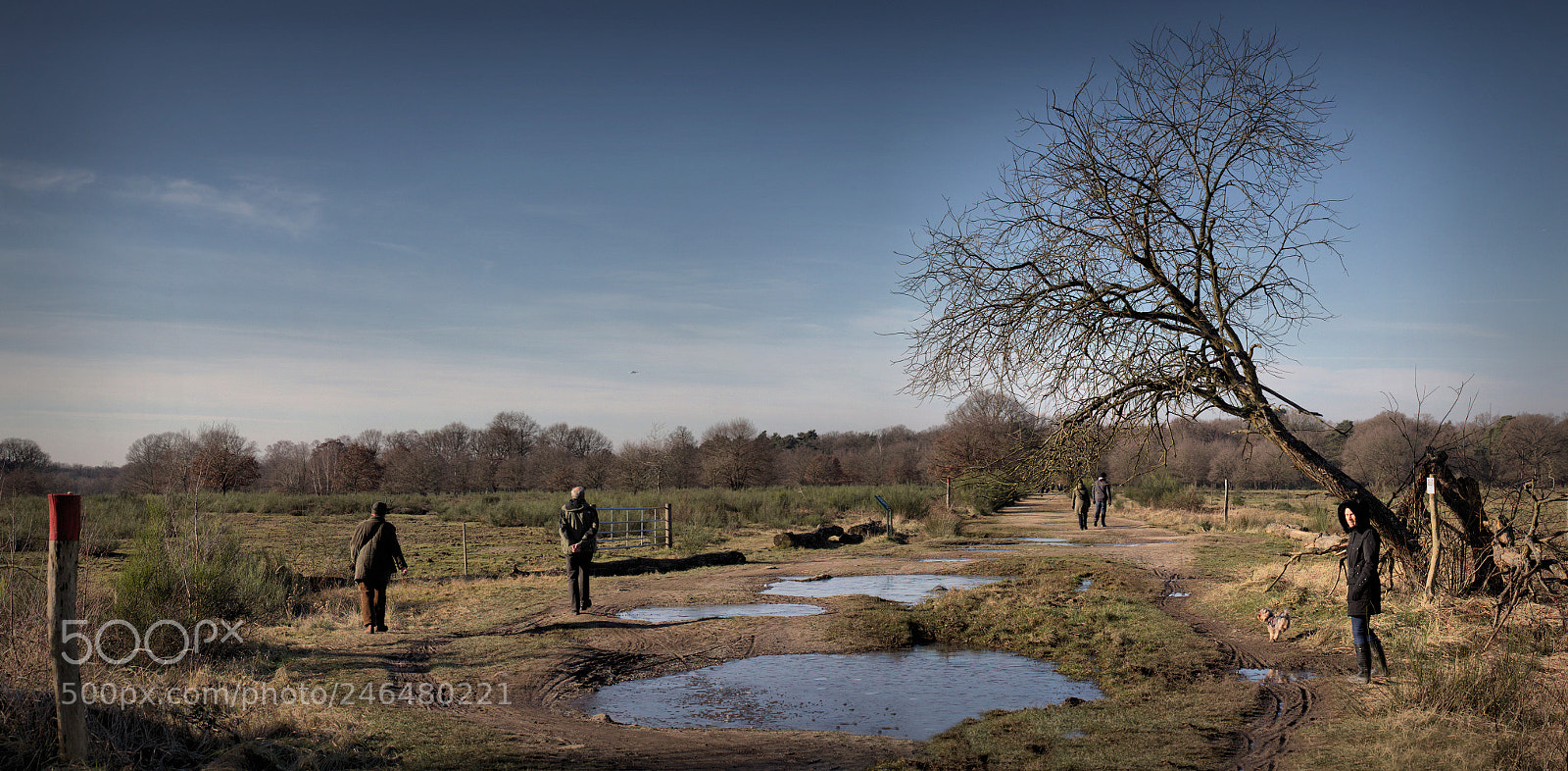Canon EOS 700D (EOS Rebel T5i / EOS Kiss X7i) sample photo. Feldweg - wahner heide photography