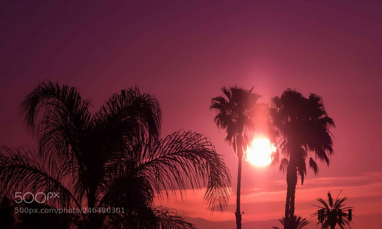 Pentax K-50 sample photo. Holding the sun photography
