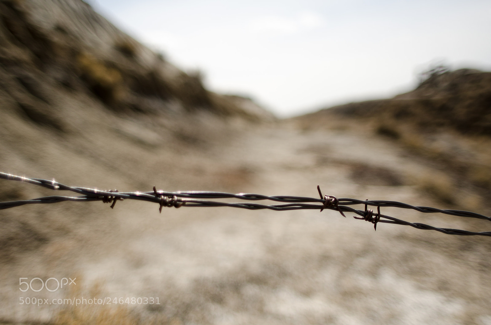 Nikon D7000 sample photo. Barbed wire photography