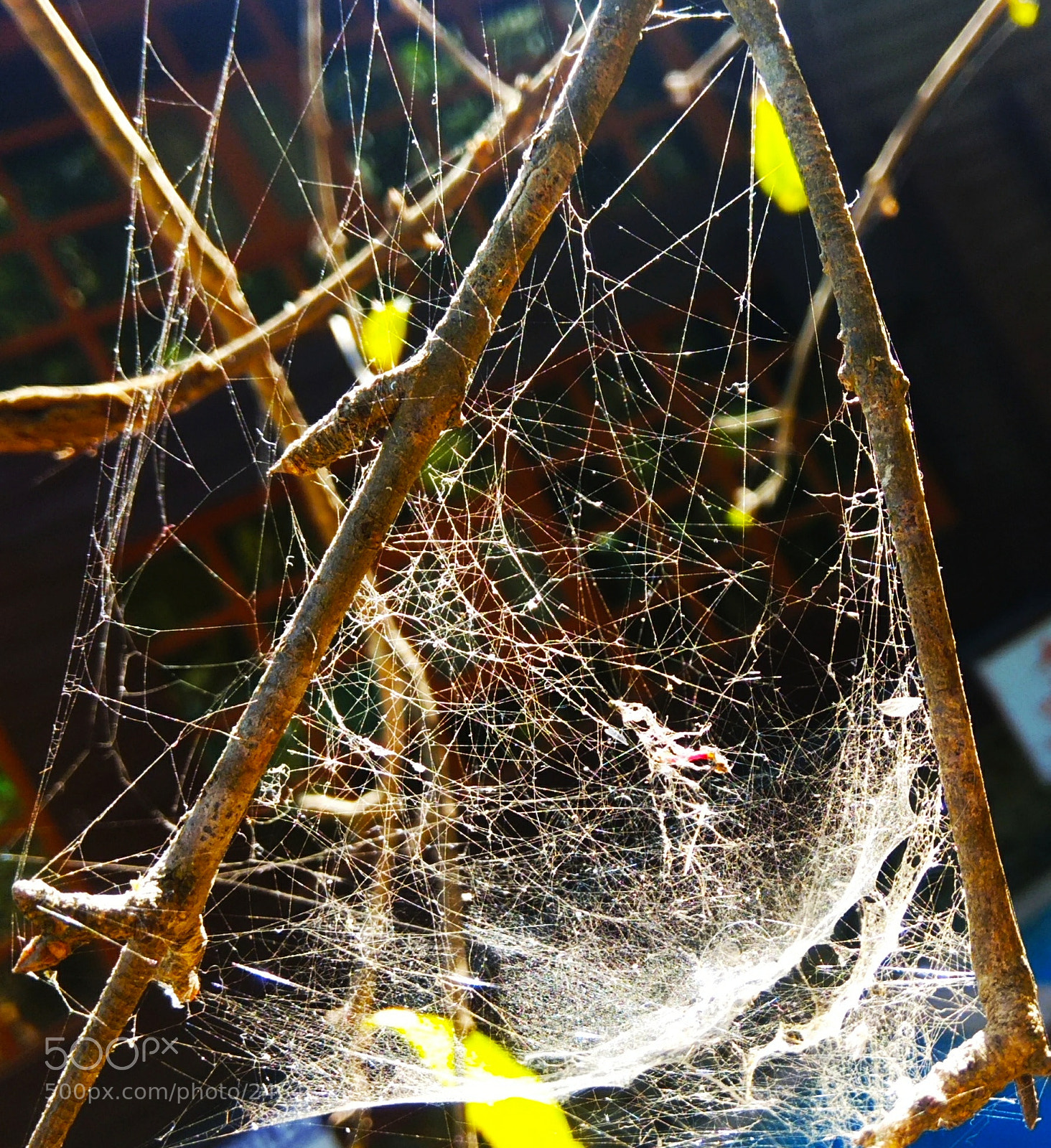 Xiaomi Redmi Note 4 sample photo. Untitled photography