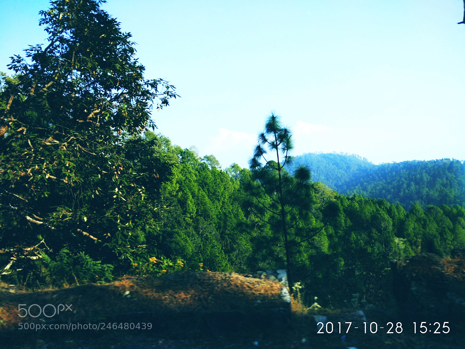Xiaomi Redmi Note 4 sample photo. Untitled photography
