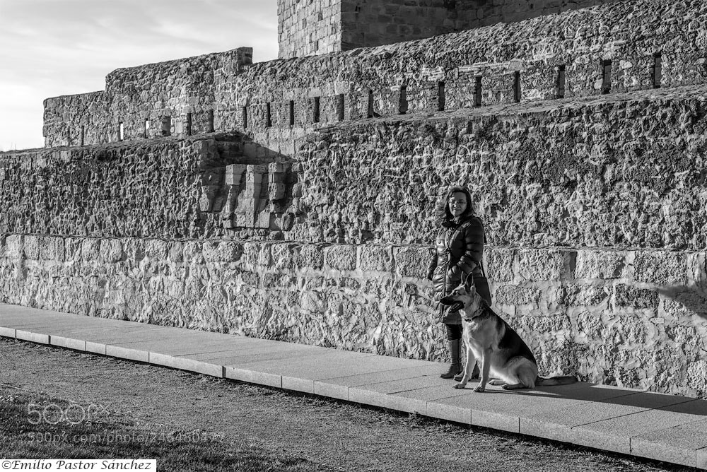 Nikon D800 sample photo. Copia photography